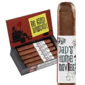 Punch Dad's Home Movies